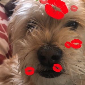 Meet your Posher, Clarice